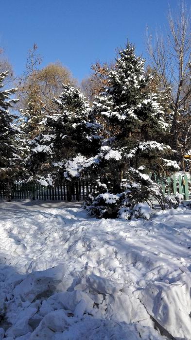 ������С IMG_20151206_110217.jpg