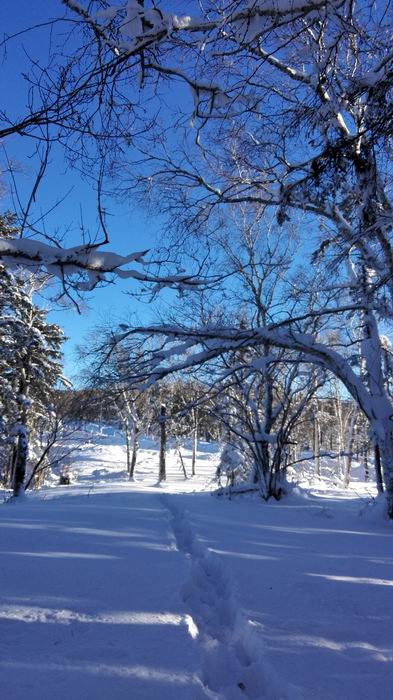 ������С IMG_20151208_083150.jpg