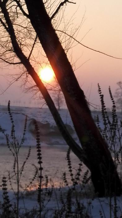 ������С IMG_20151211_072300.jpg