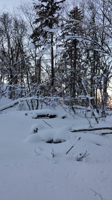 ������С IMG_20151208_065540.jpg