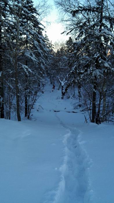 ������С IMG_20151208_071915.jpg