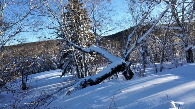 ������С IMG_20151208_081242.jpg