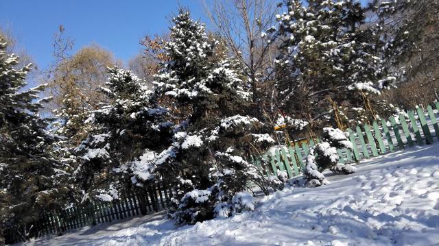 ������С IMG_20151206_110220.jpg