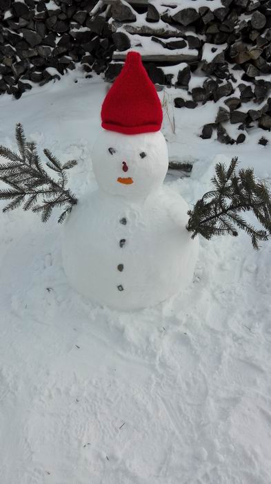 ������С IMG_20151207_153029.jpg