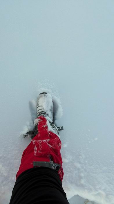 ������С IMG_20151208_071033.jpg