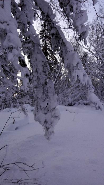 ������С IMG_20151208_063806.jpg