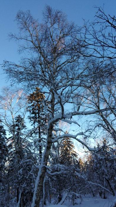 ������С IMG_20151208_072904.jpg