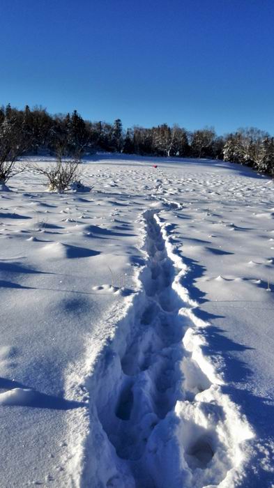 ������С IMG_20151208_080443.jpg