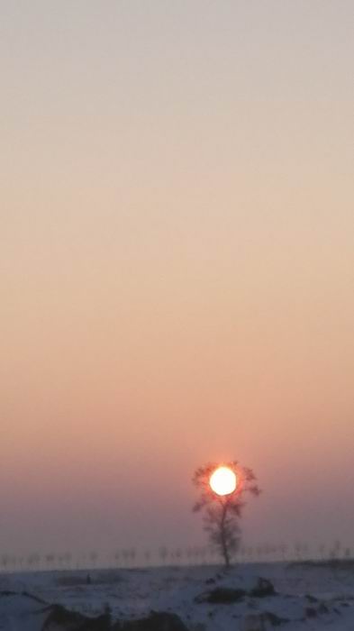 ������С IMG_20151211_072003.jpg