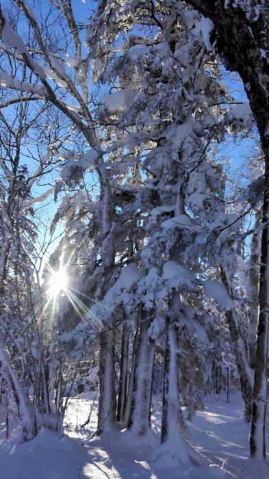 ������С IMG_20151208_082633.jpg