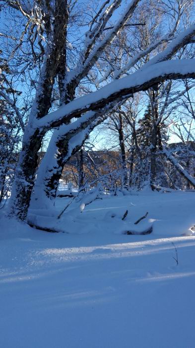 ������С IMG_20151208_075354.jpg