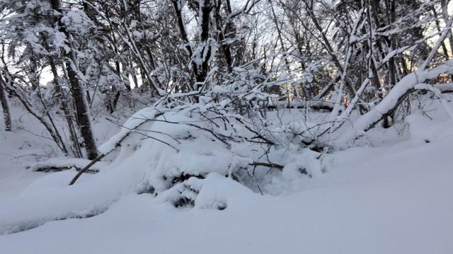 ������С IMG_20151208_065625.jpg