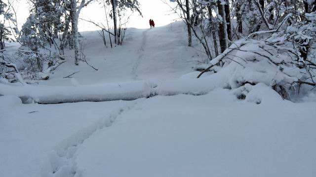 ������С IMG_20151208_065613.jpg