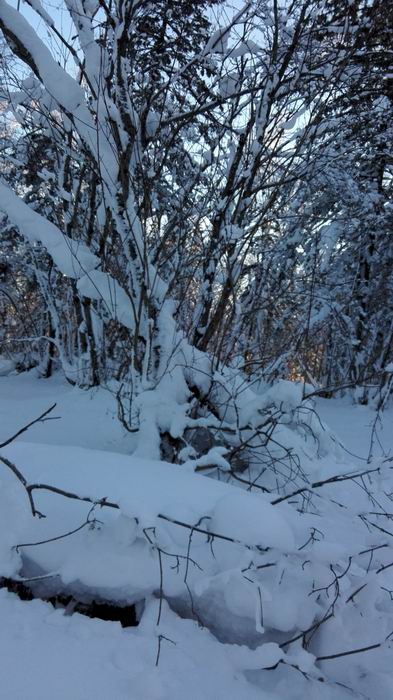 ������С IMG_20151208_072913.jpg