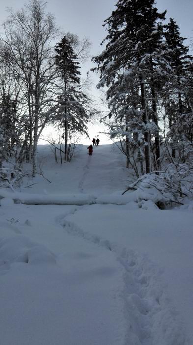 ������С IMG_20151208_065538.jpg