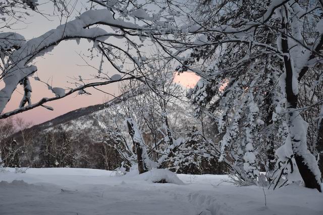 ������С DSC_0809.JPG