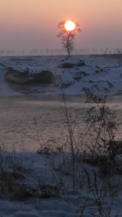 ������С IMG_20151211_072044.jpg