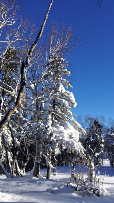 ������С IMG_20151208_082644.jpg