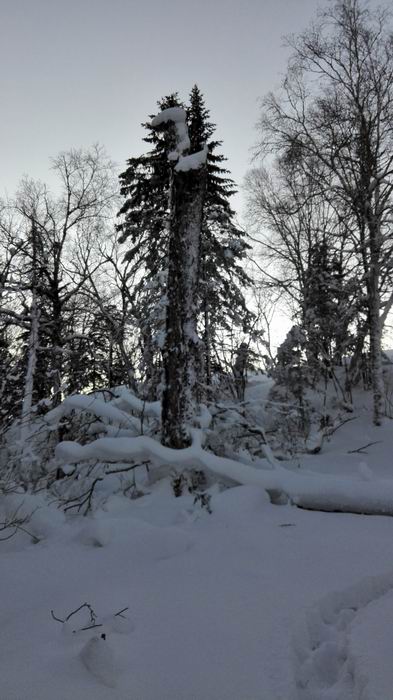 ������С IMG_20151208_065604.jpg