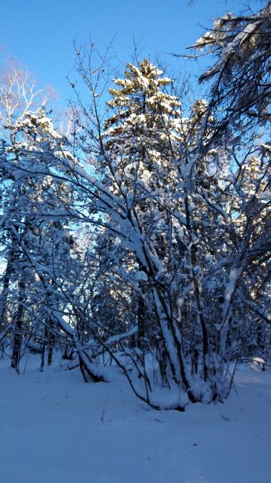 ������С IMG_20151208_074419.jpg