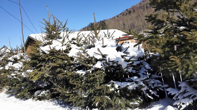 ������С IMG_20151207_113908.jpg