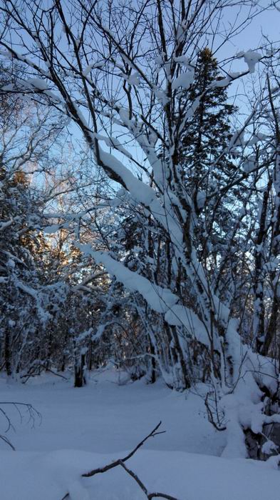 ������С IMG_20151208_072908.jpg