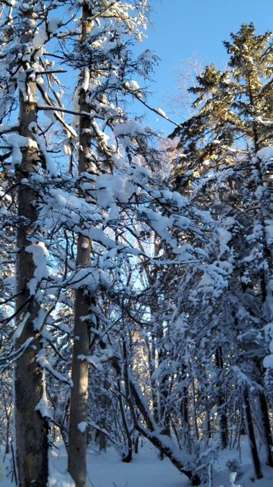 ������С IMG_20151208_074446.jpg