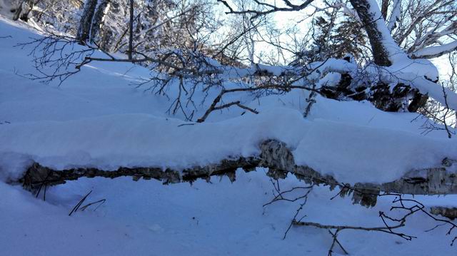 ������С IMG_20151208_081435.jpg