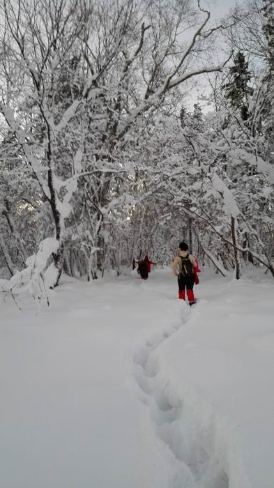 ������С IMG_20151208_064101.jpg