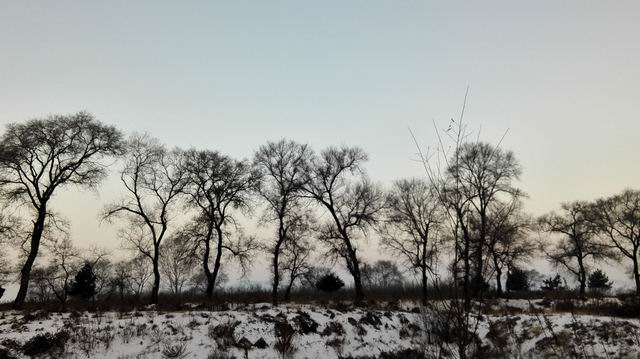 ������С IMG_20151211_071110.jpg