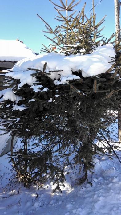 ������С IMG_20151207_113723.jpg