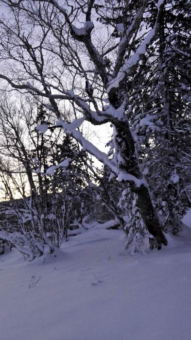 ������С IMG_20151208_063511.jpg