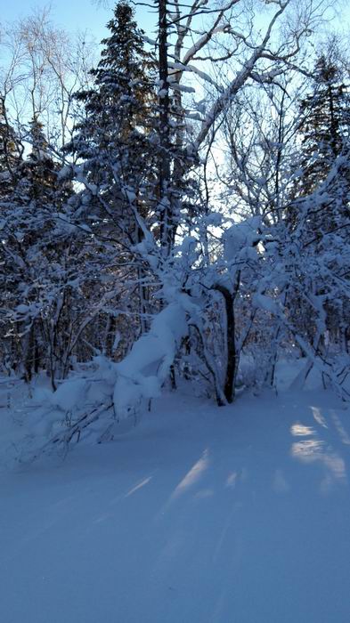 ������С IMG_20151208_074452.jpg