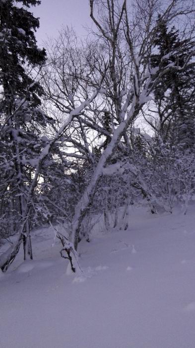 ������С IMG_20151208_063507.jpg