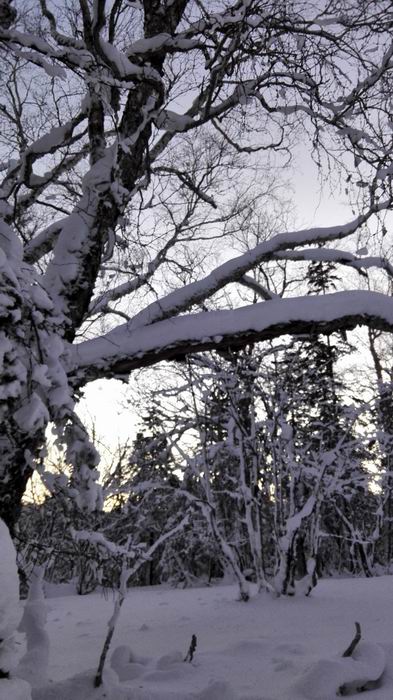 ������С IMG_20151208_063903.jpg