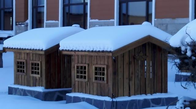 ������С IMG_20151207_115235.jpg