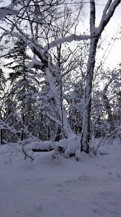 ������С IMG_20151208_064956.jpg