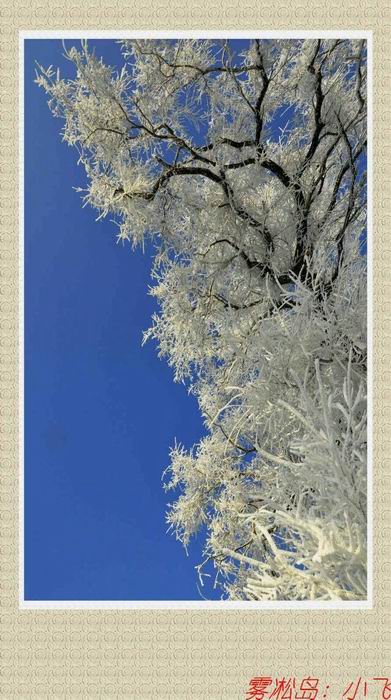 ������С mmexport1449797296478.jpg