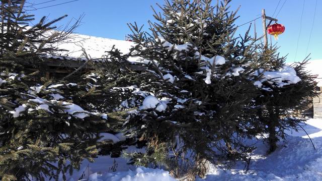 ������С IMG_20151207_113737.jpg