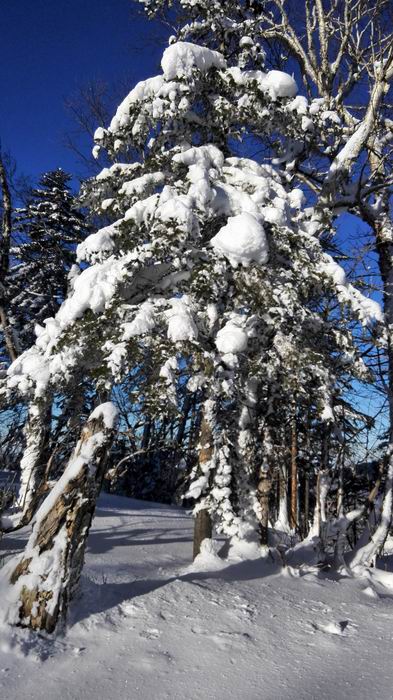 ������С IMG_20151208_082808.jpg