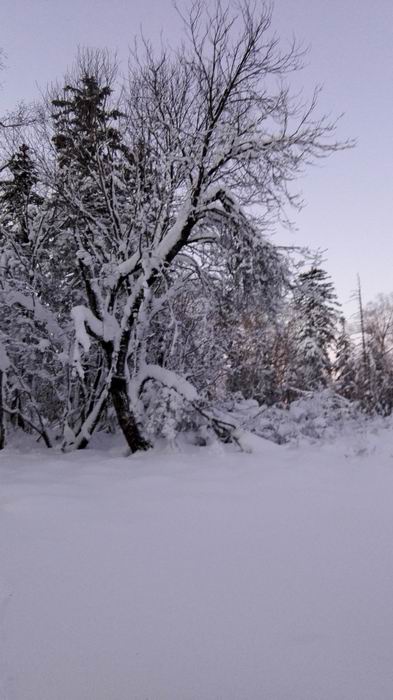 ������С IMG_20151208_063840.jpg