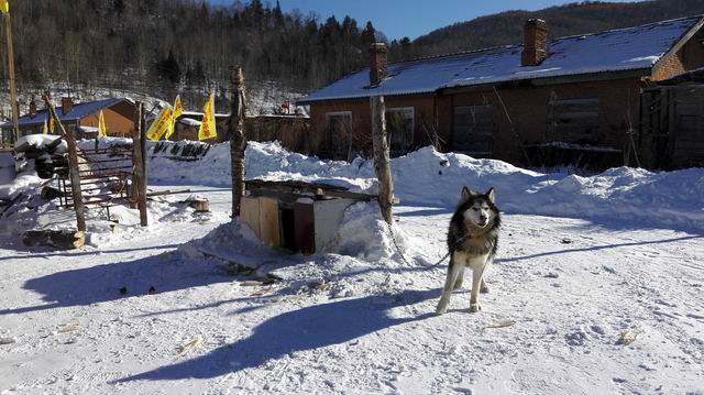 ������С IMG_20151207_113800.jpg