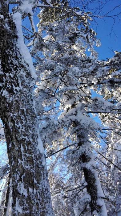 ������С IMG_20151208_082640.jpg