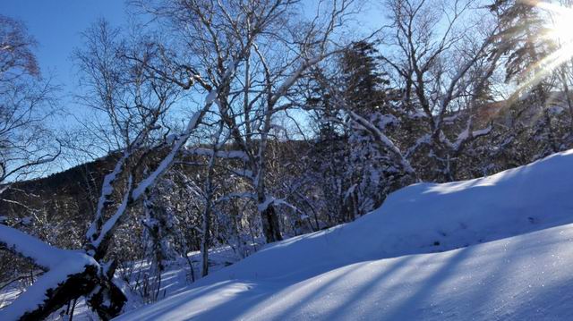 ������С IMG_20151208_081251.jpg