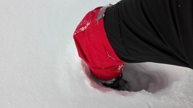 ������С IMG_20151208_070156.jpg