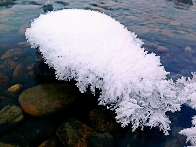 ������С mmexport1449797347411.jpg