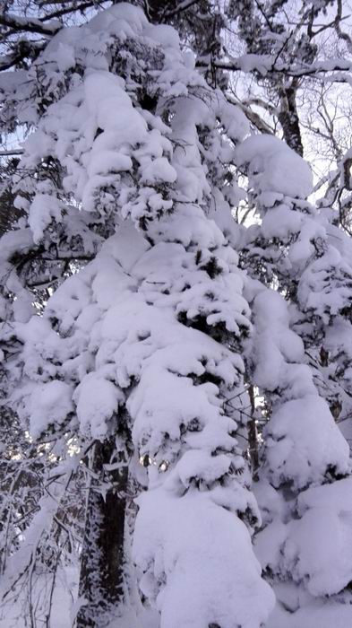 ������С IMG_20151208_063906.jpg