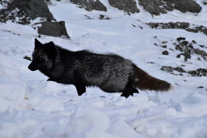 ������С mmexport1449751088202.jpg