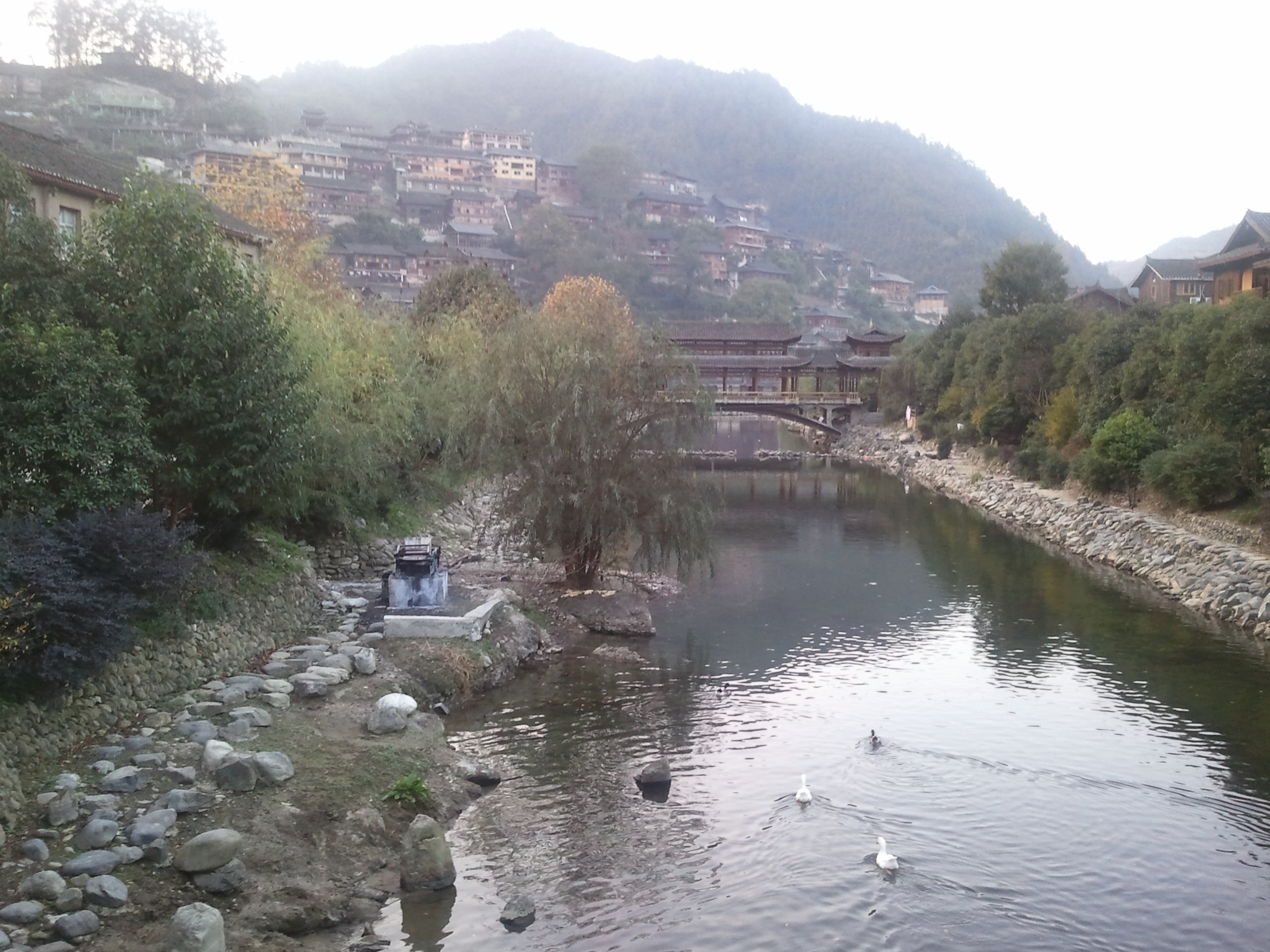 2013-11-08 17.43.36.jpg