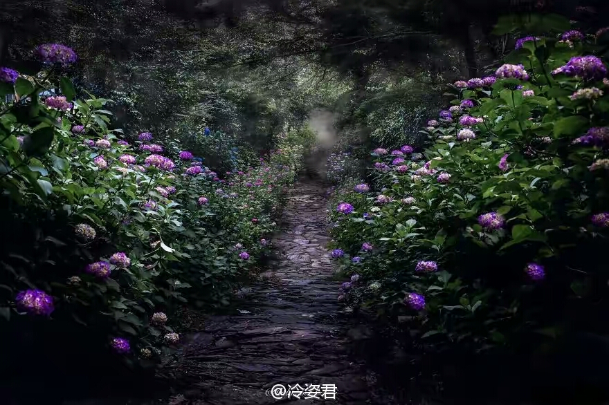 ��ͷ�µ��ձ��꼾 e7bf4c79gw1f5djjlom9ij20og0gaq6f.jpg